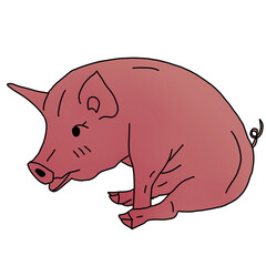Pig