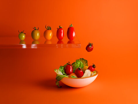Row of assorted multi coloured tomatoes jumping off a diving board into a bowl of salad