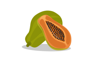 papaya fruit isolated at white background, vector illustration