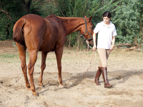 Portrait of a teenage girl walking with her horse