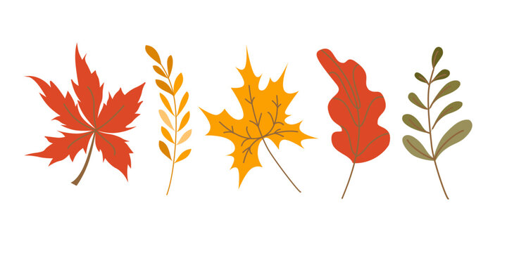 Cute Autumn colorful leaves cartoon style. Fall leaves set, isolated on white background. Isolated vector illustration.