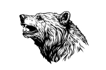 Bear head side view logotype vector engraving style illustration