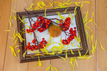 Red rowan berries on a rowan tree. Red apple. Yellow chrysanthemum flower, lilies.Still life in a wooden frame. picture. A rowan tree on a branch. Ashberry. non - GMO .on a white background.	