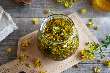 Macerating fresh St. John's wort blossoms in oil to prepare herbal remedy