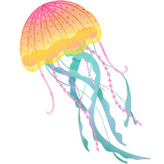 Watercolor jellyfish design.
