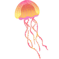 Watercolor jellyfish design.

