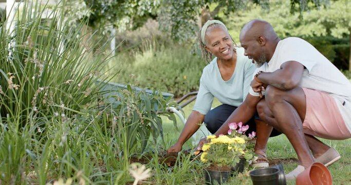Happy african american senior couple gardening in sunny garden, slow motion