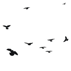 Silhouette sketch of a flock of flying birds, flight in different positions. Hover, soaring, landing, flying, flutter