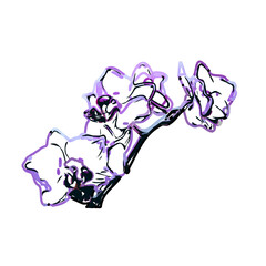 Color sketch of an orchid flower with transparent background