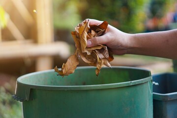 Composting Dry Leaves A Guide to Sustainable Gardening