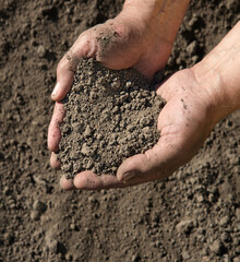 Man's hands holding a handful of earth