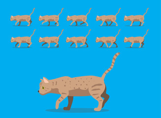 Animal Animation Sequence Cat Australian Mist Cartoon Vector