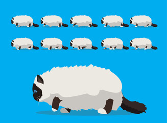 Animal Animation Sequence Cat Birman Cartoon Vector