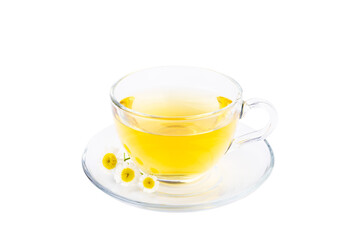 Chamomile herbal tea with flower buds and chamomile bouquet isolated on white background. Useful herbal, soothing drinks and natural healer concept. Immunity tea.Close up. Copy space.