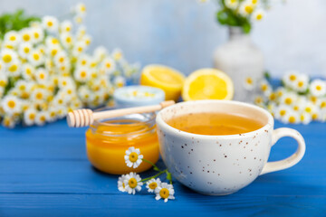 Chamomile herbal tea with flower buds on a blue wooden table and a bouquet of chamomile. Useful herbal, soothing drinks and natural healer concept. Immunity tea.Close up. Copy space.