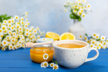 Chamomile herbal tea with flower buds on a blue wooden table and a bouquet of chamomile. Useful herbal, soothing drinks and natural healer concept. Immunity tea.Close up. Copy space.
