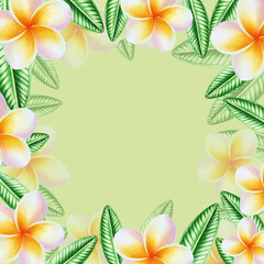 Fototapeta na wymiar Watercolor frame with realistic tropical illustration of plumeria flowers with leaves isolated on white background. Beautiful botanical hand painted frangipani clip art. For designers, spa decorat