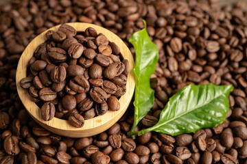 Coffee brown bean medium roasted with fresh green leaf.