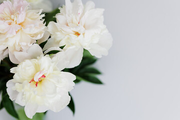 Close up of beautiful fragile white peonies bouquet © Di Studio