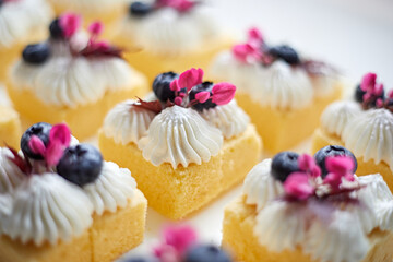 mini butter cake with whipped cream