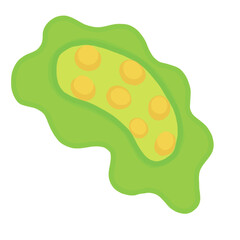 เลเยอร์ 3