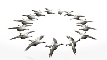black and white background