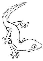 Gecko outline illustration on transparent background
