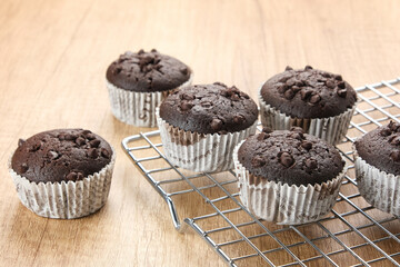 Delicious Chocolate Muffins with choco chips
