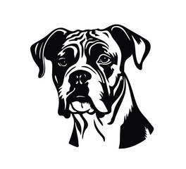 Vector isolated one single sitting Boxer dog head front view black and white bw two colors silhouette. Template for laser engraving or stencil, print for t shirt	