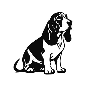 Vector isolated one single sitting Basset Hound dog full body front view black and white bw two colors silhouette. Template for laser engraving or stencil, print for t shirt	