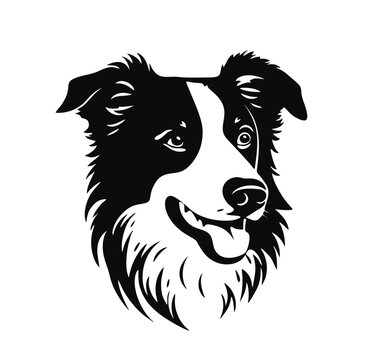 Vector isolated one single sitting Border Collie dog head front view black and white bw two colors silhouette. Template for laser engraving or stencil, print for t shirt	