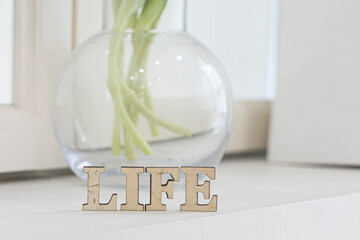 Life text on ivory floor for your desing.