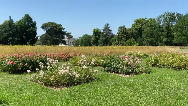 Fleurs du jardin de Bagatelle &agrave; Paris