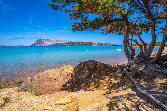 View of Capo Coda Cavallo beach and Isola di Tavolara in background, Sardinia