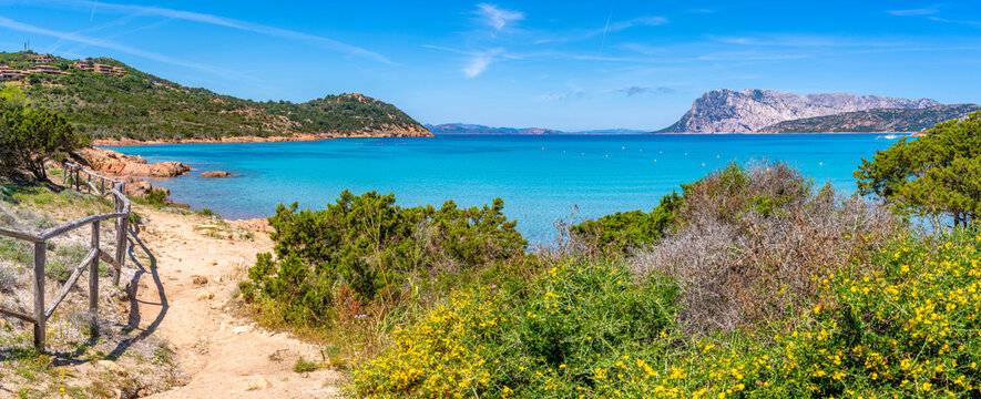 View of Capo Coda Cavallo beach and Isola di Tavolara in background, Sardinia
