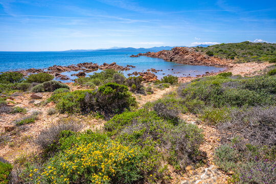 View of rugged coastline from Capo Coda Cavallo, Sardinia