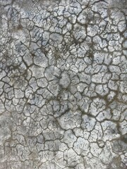 Cracks on the floor of the old cement wall over a hundred years old texture of old cracked wall
