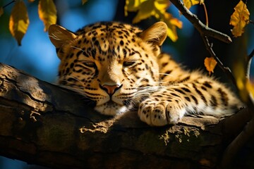 Serenity in the Wild Amur Leopard Resting on Tree in Natural Habitat. Generative AI