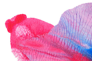 blue pink abstract acrylic painting color texture on white paper background by using rorschach inkblot method