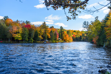 River with forested banks at the peak of fall foliage on a clear day