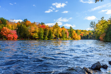 View of a river with wooded banks at the peak of autumn colours on a sunny day