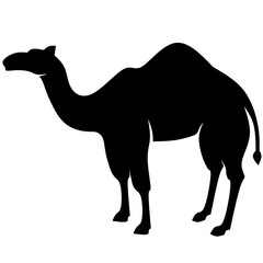 Camel icon vector illustration. Silhouette camel dromedary icon for livestock, food, animal and eid al adha event. Graphic resource for qurban design in islam and muslim culture