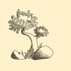 Hand drawn vector illustration of a small tree and a stone near it.