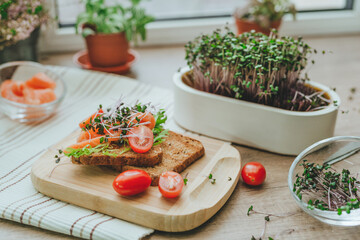 Sandwich with salmon fish, microgreens of radish and tomato