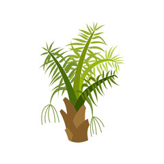 Fototapeta premium Palm trees are isolated on white background. Beautiful palm tree illustration. Coconut tree illustrations
