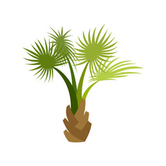 Palm trees are isolated on white background. Beautiful palm tree illustration. Coconut tree illustrations