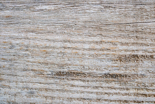 texture of wood