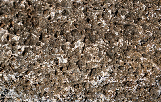 texture of stone