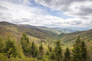 Great Smoky Mountains National Park, North Carolina, USA