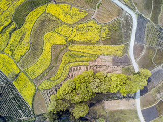 aerial view of Fields in early spring